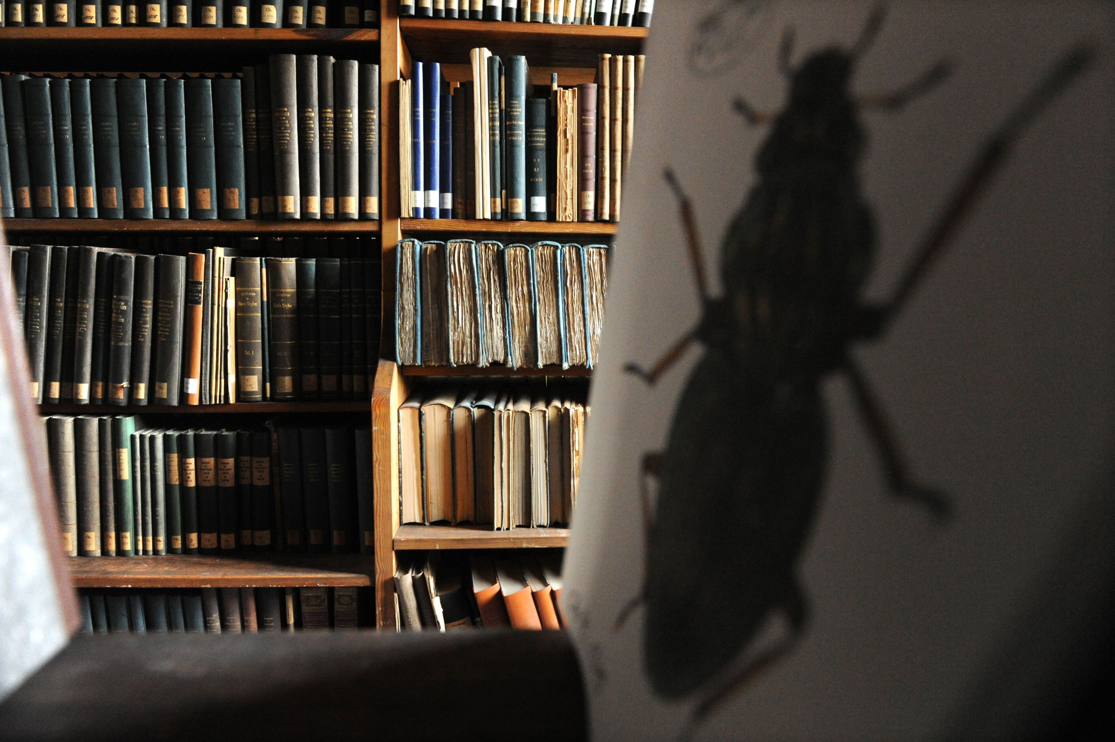 Bibliothek der Leopoldina