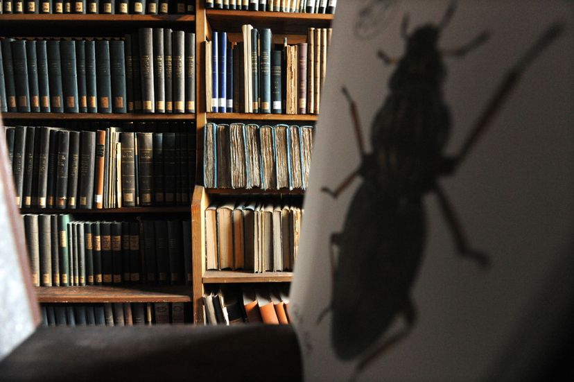Bibliothek der Leopoldina