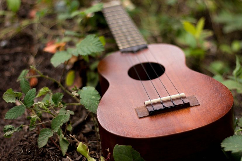 Gitarre im Wald