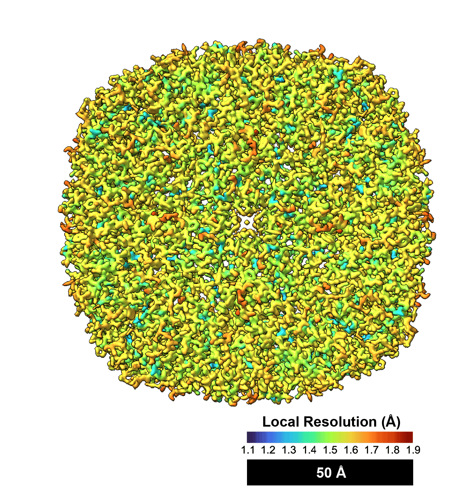 Ferritin - Der Eisenspeicher des menschlichen Körpers