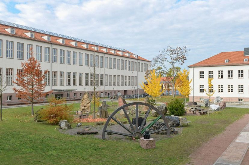 Geologischer Garten, Uni