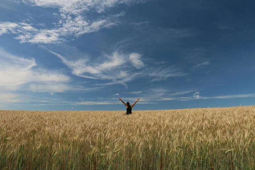 Freiheit, Sommer, Natur
