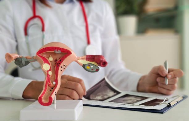 Uterus