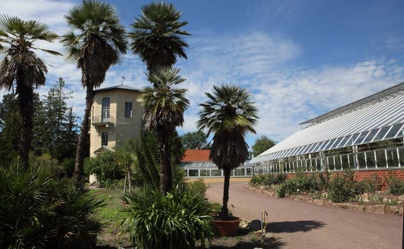 Botanischer Garten mit Kalthaus