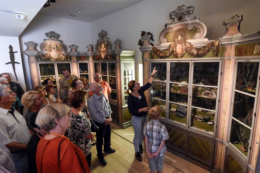 Führung in der Wunderkammer