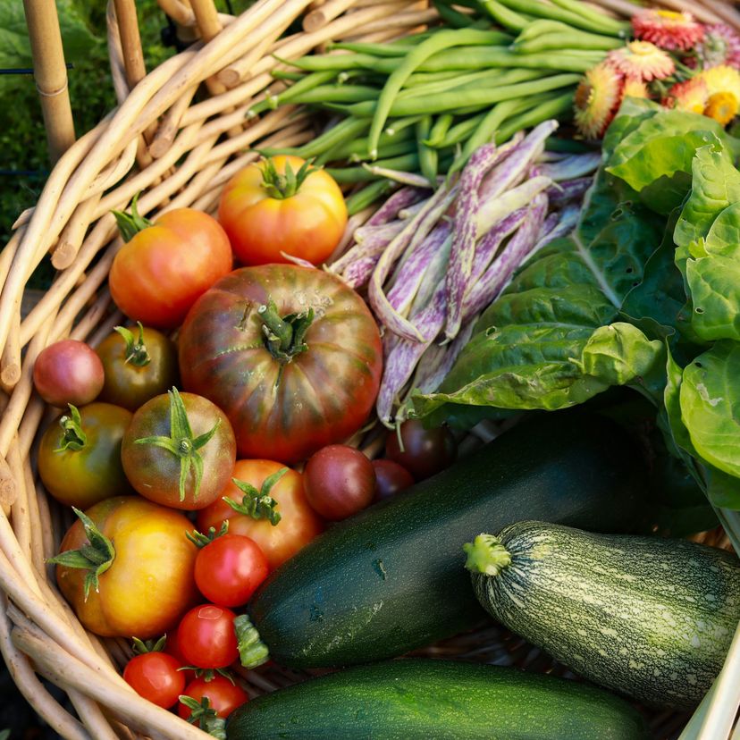 Liebe geht durch den Magen – nachhaltige Ernährung durch den Geldbeutel?