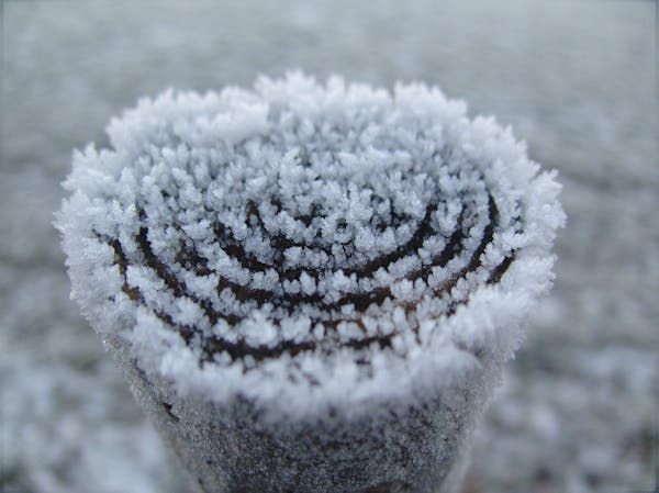Permafrost
