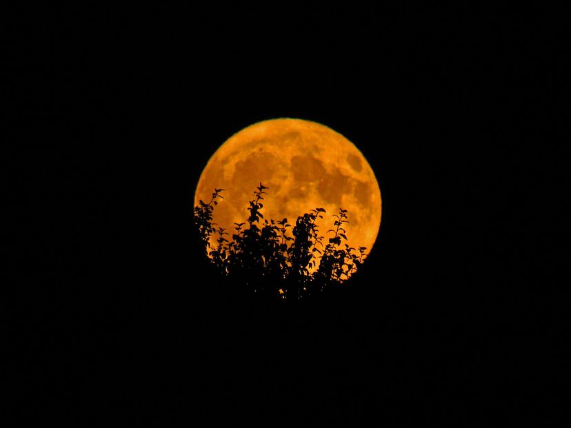 Mond