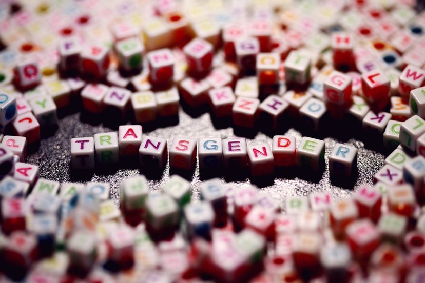 Buchstabenpuzzle "Transgender"