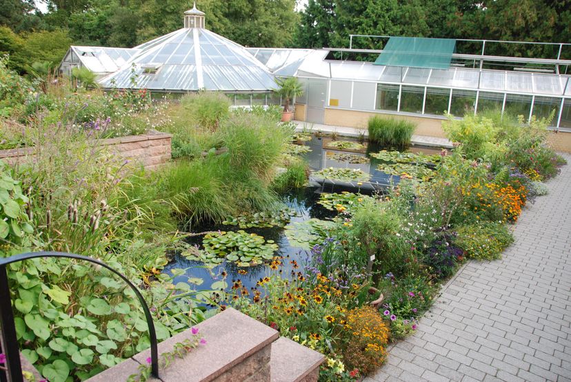 Botanischer Garten