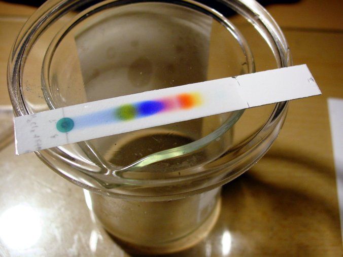 Farben trennen mit Papierchromatografie