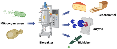 Von Brot und Bier bis Waschsalon und Kleber – Biotechnologie im Alltag erleben