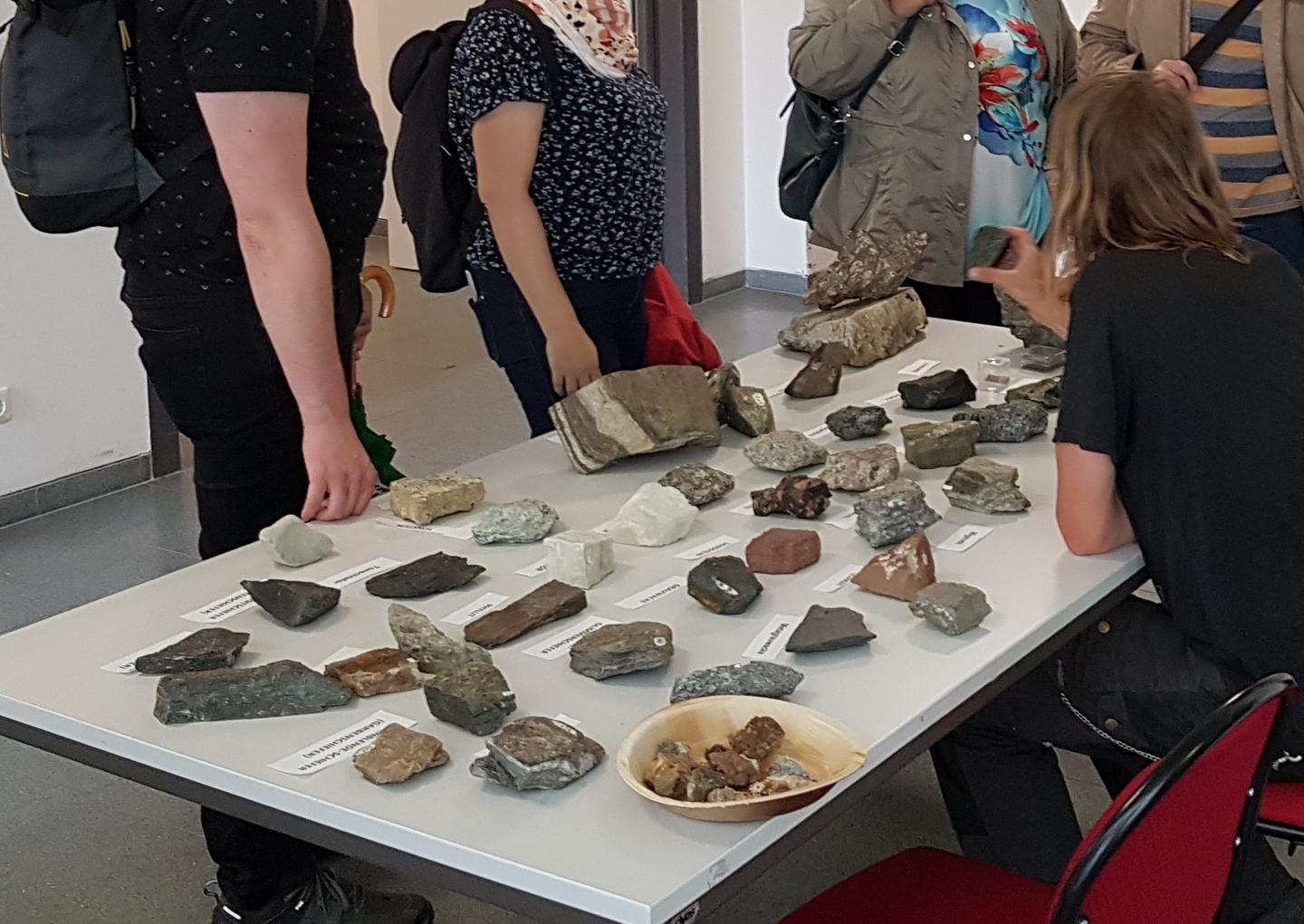 Digitalmikroskopie für Detailverliebte