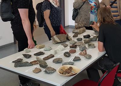 Digitalmikroskopie für Detailverliebte