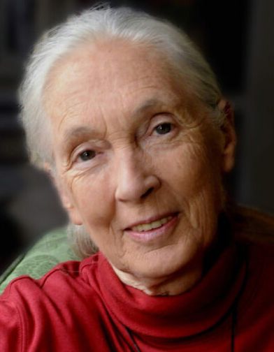 Dr.  Dame Jane  Goodall