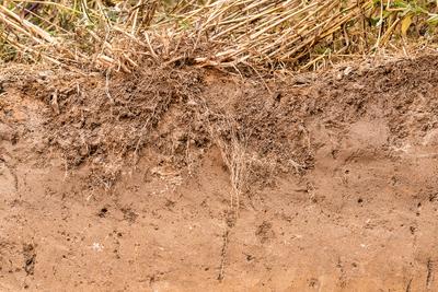Versuchsgut Merklingsen
