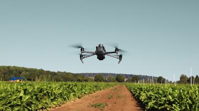 Drohne Landwirtschaft