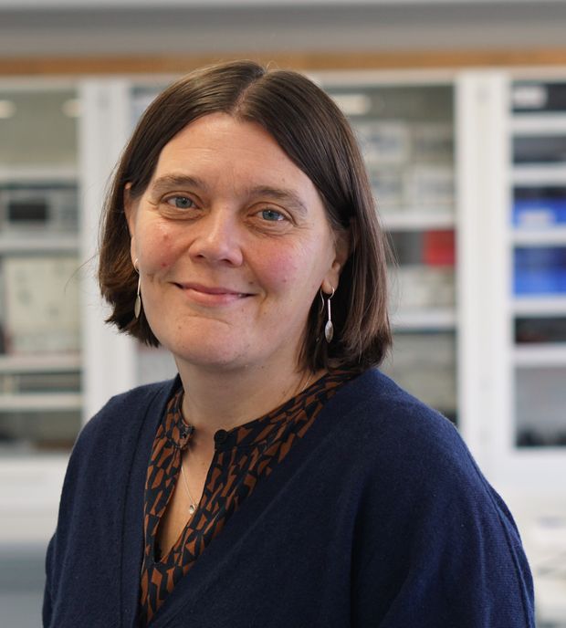 Prof. Thorid Rabe