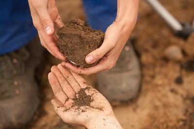 Bodenprobenentnahme
