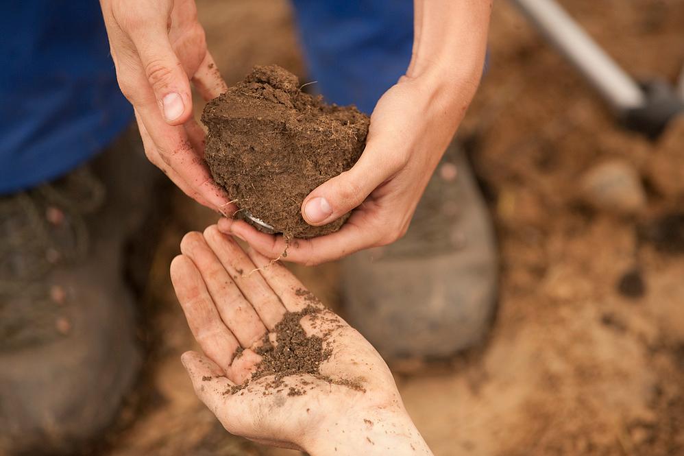 Bodenprobenentnahme
