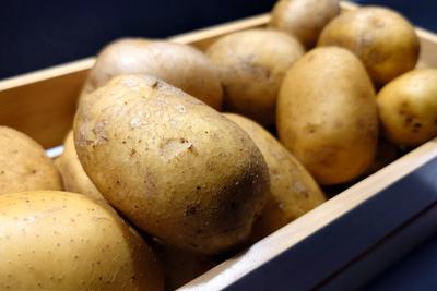 Kartoffelausstellung