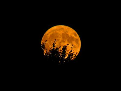 Mond