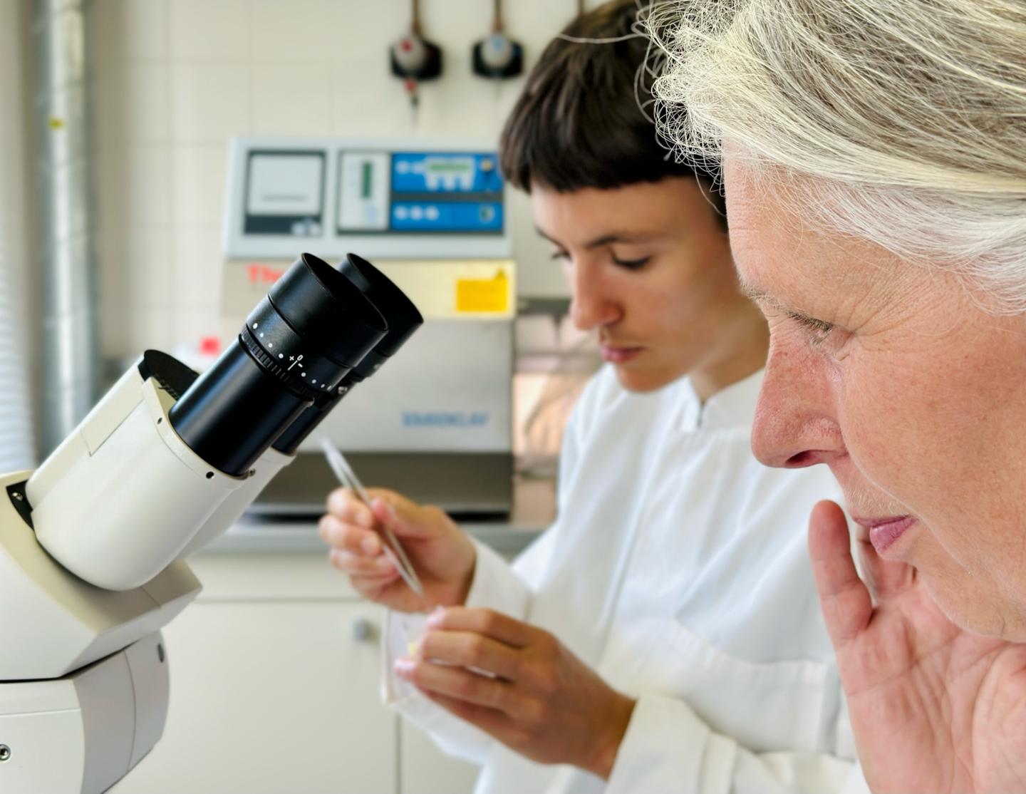 Fermentation an der Martin-Luther-Universität Halle-Wittenberg, Urte Grauwinkel und Julia Hammer