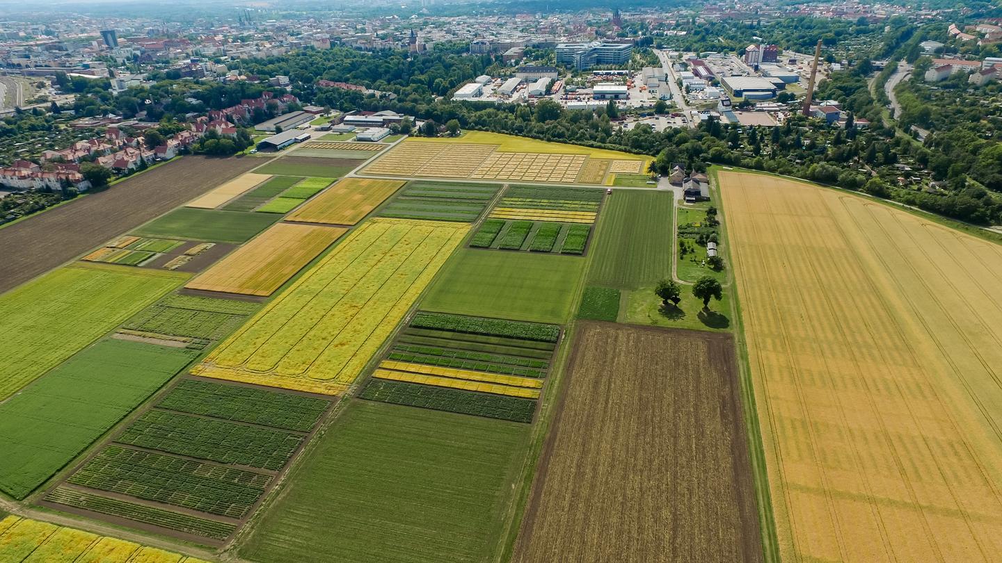Versuchsstation Kühnfeld
