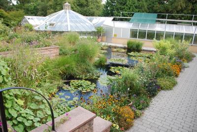 Botanischer Garten