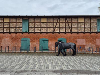Museum für Haustierkunde